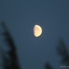 Moon over Denmark