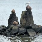 Steine im Fjord bei Lemvig